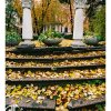 215 Images of Odessa (095)